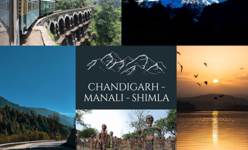 Service Provider of Chandigarh - Manali - Shimla in New Delhi, Delhi, India.